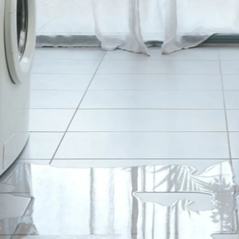 Appliance Leak Cleanup in Kane County, UT